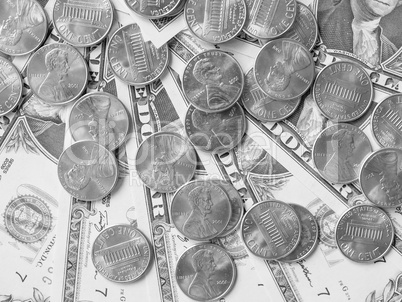 Black and white Dollar coins and notes