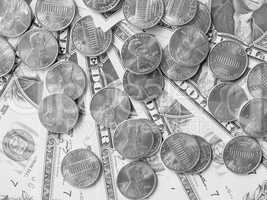 Black and white Dollar coins and notes