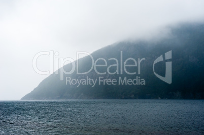 Forested cliff meeting water in wet fog