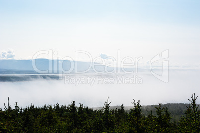 Low fog between trees and distant mountain range