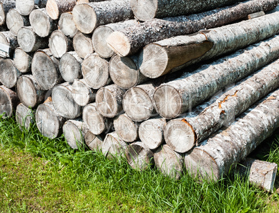 Pile of stacked cut logs on grass