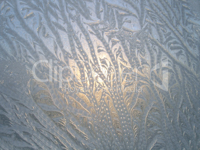 frosty natural pattern