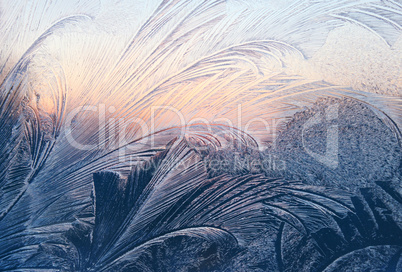 frost and sunlight texture