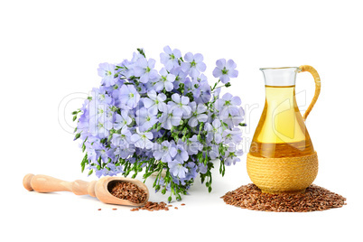 seed oil and flax flowers
