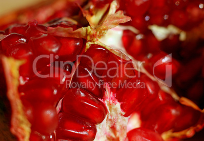 pomegranate background