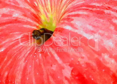 close up of red apple