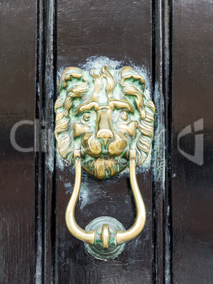 brass door knocker