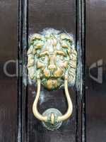 brass door knocker