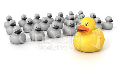rubber ducky crowd