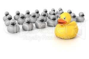 rubber ducky crowd