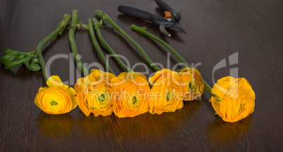 Bright orange flowers on dark wooden table