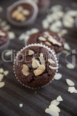 Schokoladen Muffins