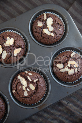 Schokoladen Muffins