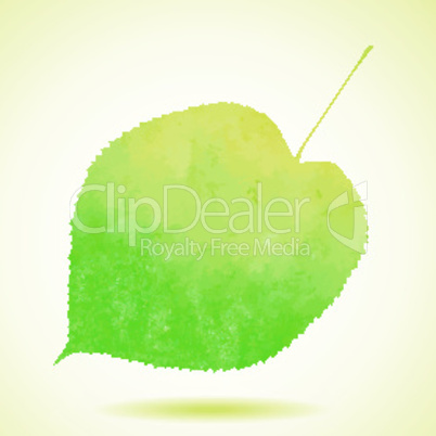 Watercolor linden leaf isolated on white