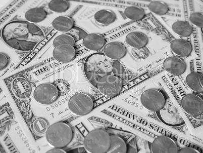 Black and white Dollar coins and notes