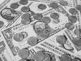 Black and white Dollar coins and notes