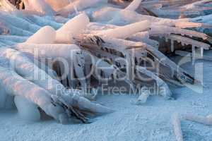 Vereistes Schilf an der Warnow in Rostock