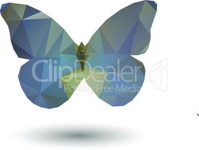 Triangle butterfly