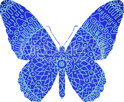 Blue butterfly