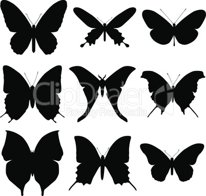 Butterfly silhouette set. Icon collection.
