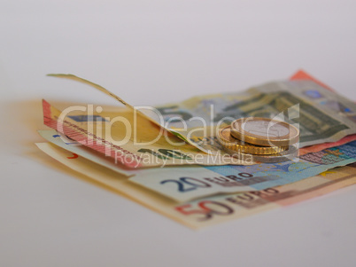 Euro coins and notes