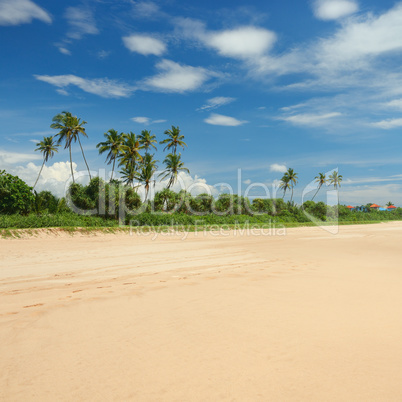 beautiful coastline and blue sky