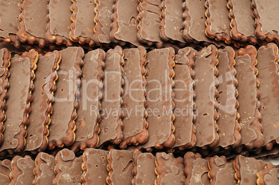 fresh chocolate biscuits