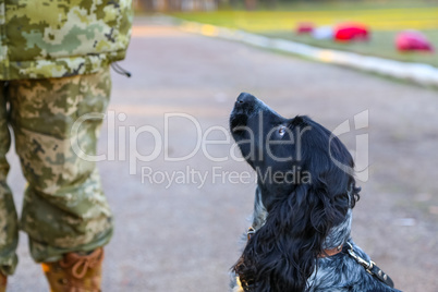Border dog with a soldier