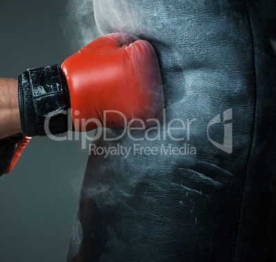 Hand  of boxer and punching bag over black background