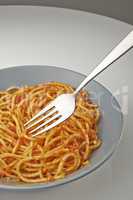 Spaghetti bolognese on plate with a fork