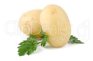 New potatoes and green parsley