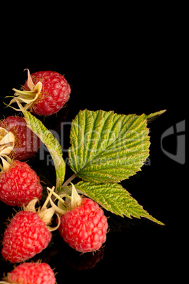 Fresh raspberries