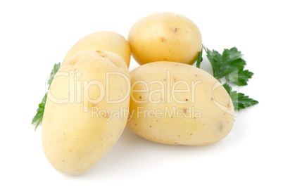 New potatoes and green parsley