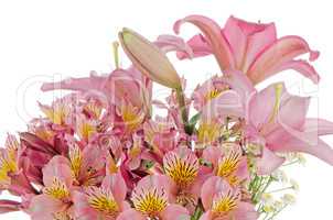 Pink lilies