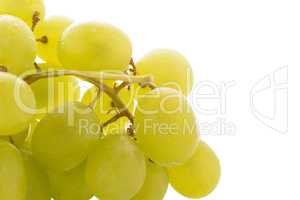 Green grapes