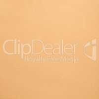 Beige leather