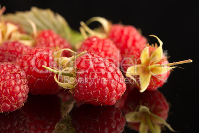 Fresh raspberries