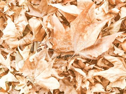 Retro looking Falling leaves