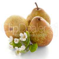 Three ripe pears