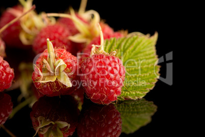 Fresh raspberries