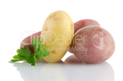 New potatoes and green parsley