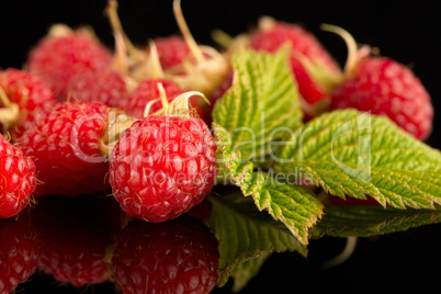 Fresh raspberries