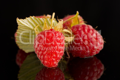 Fresh raspberries