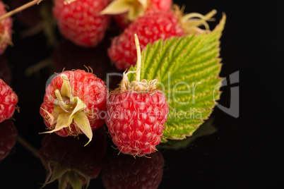 Fresh raspberries