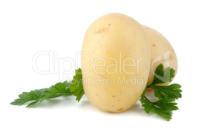 New potatoes and green parsley