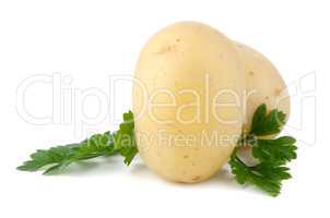 New potatoes and green parsley