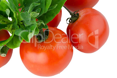 Red ripe tomato