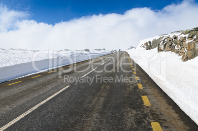 Snowy Road