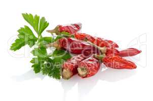 Red chili or chilli pepper and parsley leaves