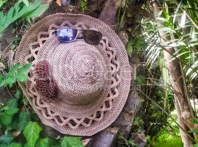 Most women's hat and sunglasses on the background of trees.